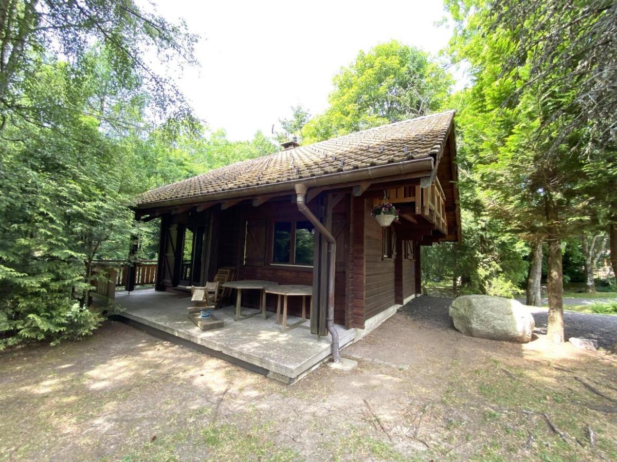 Villa LE RENARD Chalet en bois à La Bresse Extérieur photo